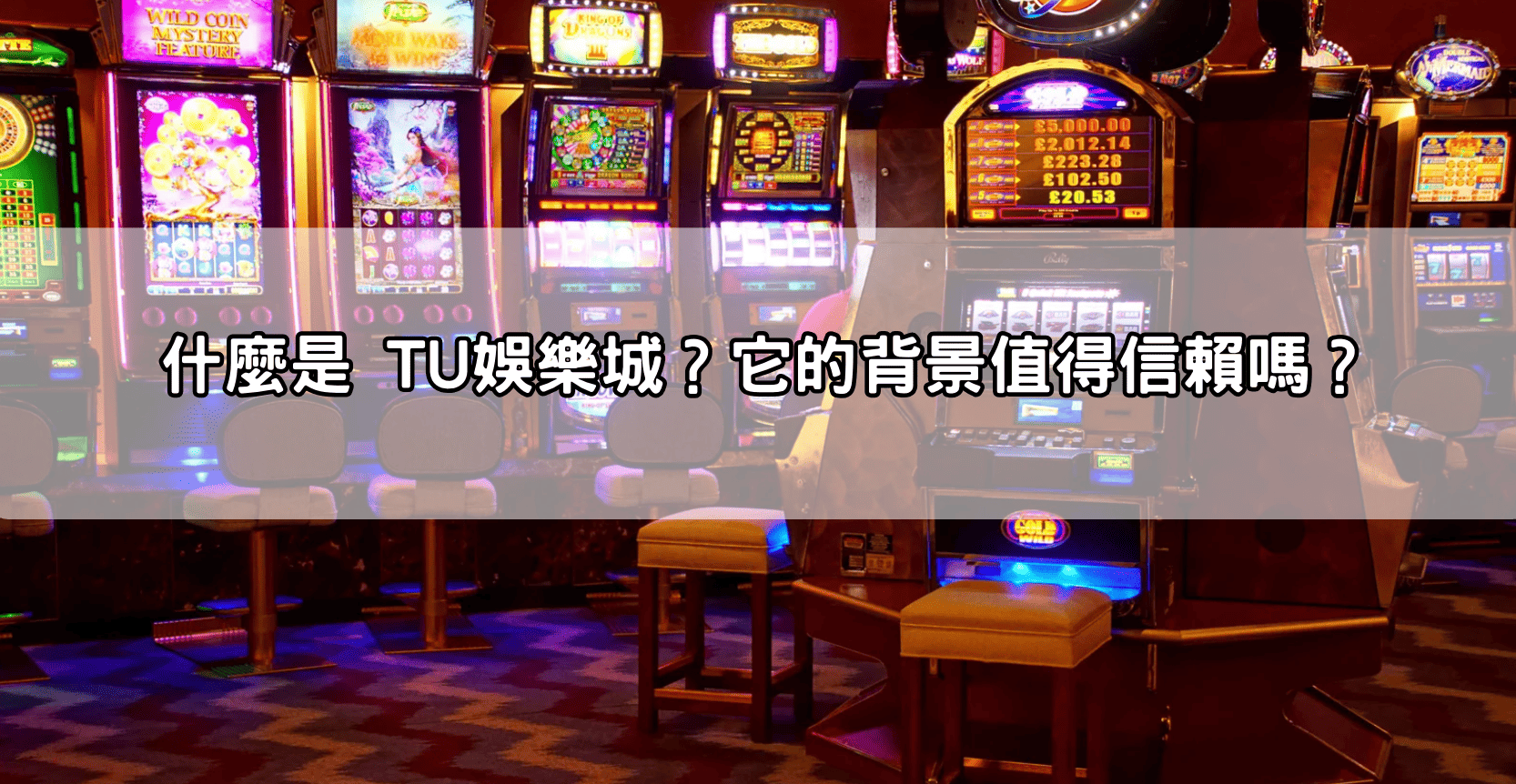 什麼是 TU娛樂城?它的背景值得信賴嗎?