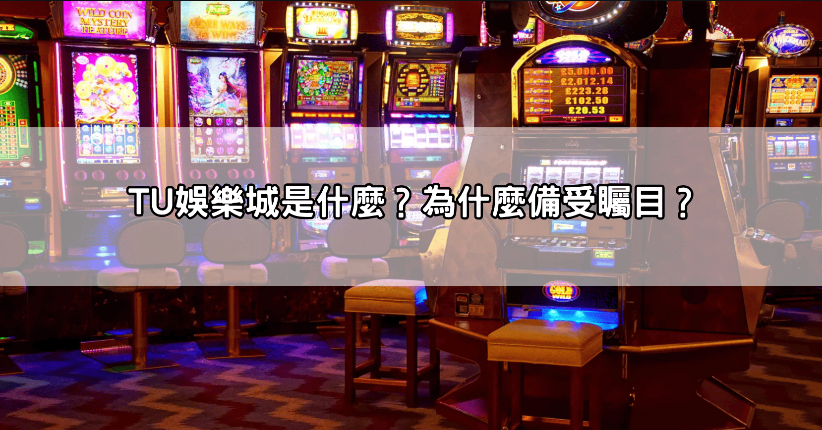 TU娛樂城是什麼?為什麼備受矚目?